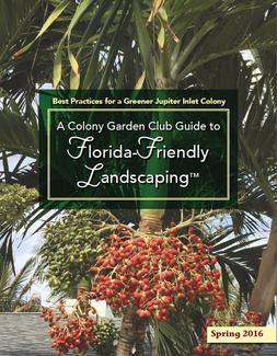 Florida Friendly Landscaping Brochure cover